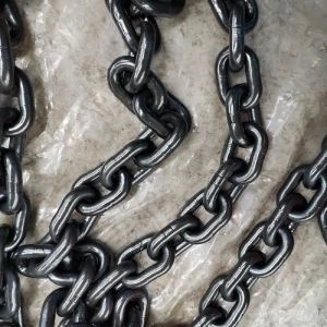 مارين ستود لينك مرساة سلسلة