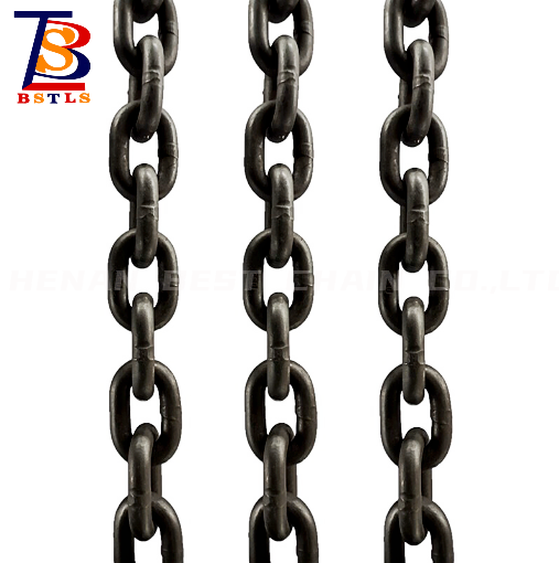 High Precision BST G100 Lifting Chain